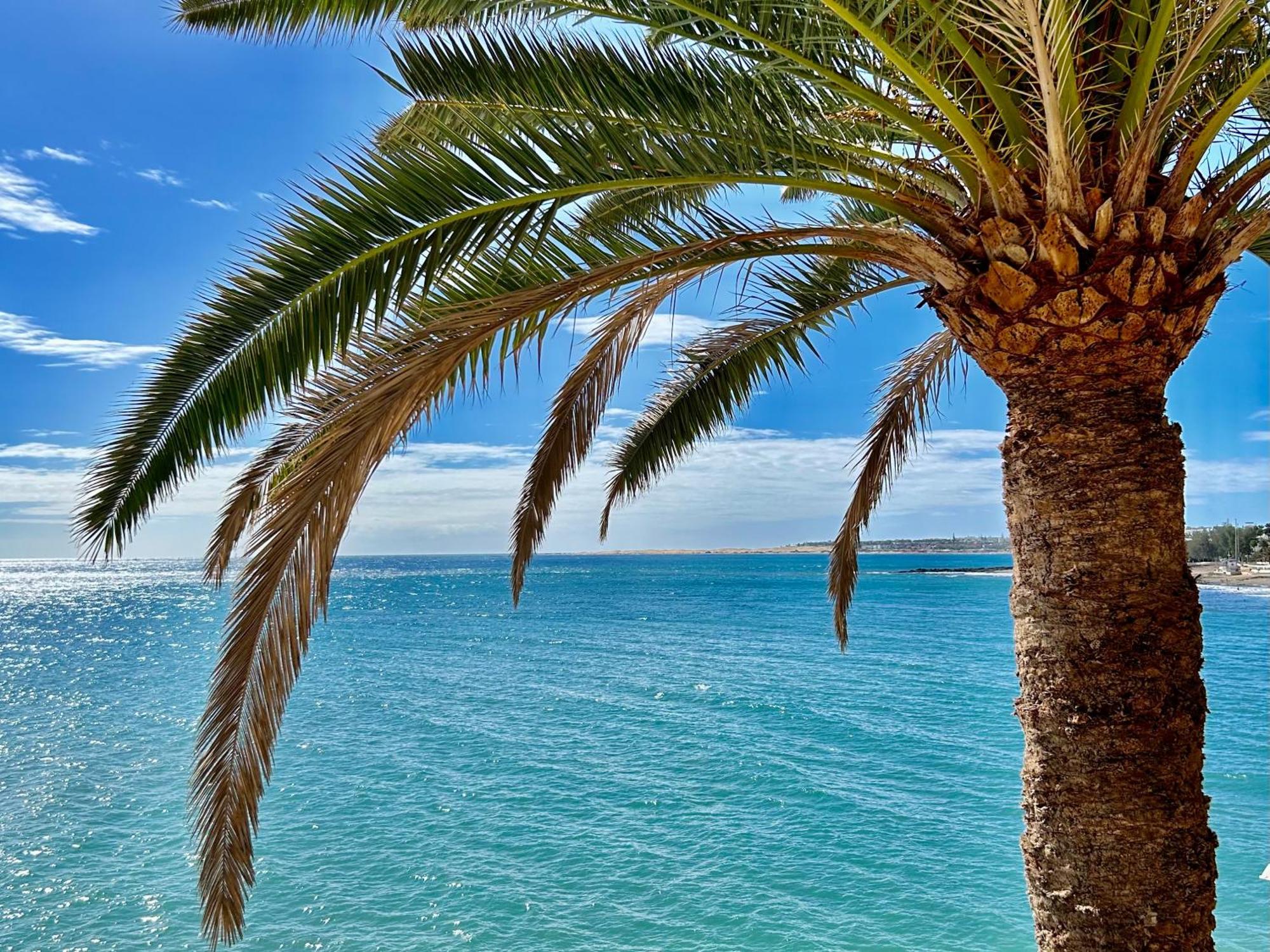 Sobre El Mar Con Vistas A Las Dunas De Maspalomas San Agustín Kültér fotó